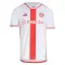 Maillot De Foot Internacional Extérieur 24/25