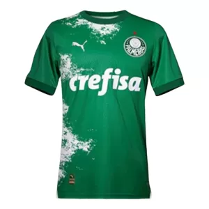 Maillot De Foot Palmeiras 2024 Vert - Spécial Maillot De Foot Palmeiras 2024 Vert - Spécial