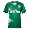Maillot De Foot Palmeiras 2024 Vert - Spécial