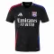 Maillot De Foot Olympique Lyonnais Extérieur 24/25