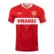 Maillot De Foot VfB Stuttgart Extérieur 24/25