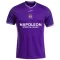 Maillot De Foot RSC Anderlecht Domicile 24/25