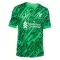 Maillot De Foot Gardien Liverpool 24/25 Vert