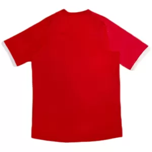 Maillot De Foot Angleterre 2010 Extérieur Retro