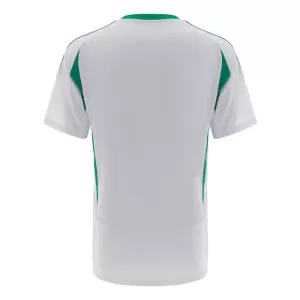 Maillot De Foot Al Ahli Domicile 24/25