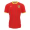 Maillot De Foot Guinea Domicile 2024