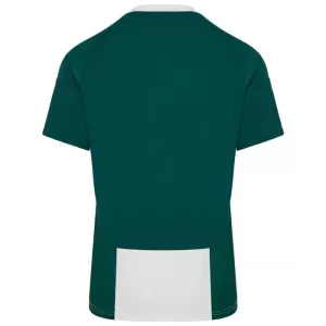 Maillot De Foot Panathinaikos FC Domicile 24/25