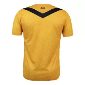 Maillot De Foot Santos FC Third 24/25