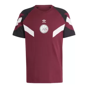 Maillot De Foot Ajax Amsterdam 24/25 - Spécial