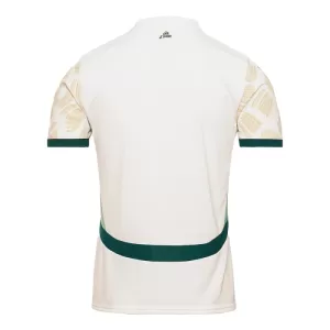 Maillot De Foot Côte d Ivoire Extérieur 24/25