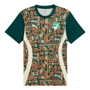 Maillot De Foot Côte d Ivoire Pre-Match 24/25