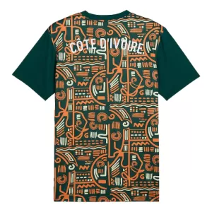 Maillot De Foot Côte d Ivoire Pre-Match 24/25