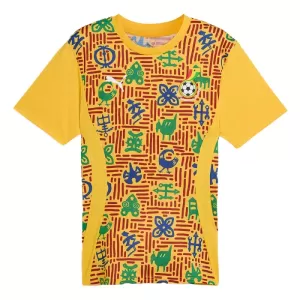 Maillot De Foot Ghana Pre-Match 24/25