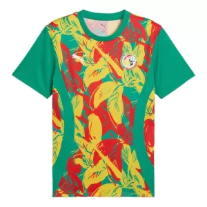 Maillot De Foot Sénégal Pre-Match 24/25
