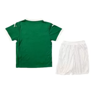 Kit De Football Palmeiras Enfant Domicile 25/26