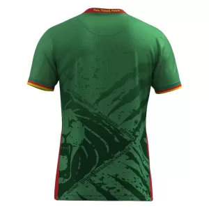 Maillot De Foot Cameroun Domicile 2025