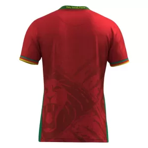 Maillot De Foot Cameroun Extérieur 2025