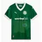 Maillot De Foot Palmeiras Domicile 25/26