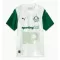 Maillot De Foot Palmeiras Extérieur 25/26