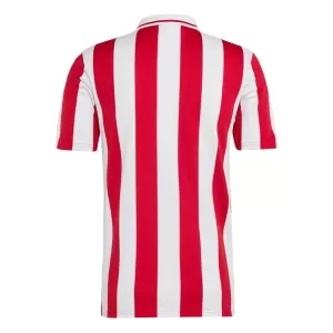 Maillot De Foot Olympiakos 100th Anniversaire 24/25