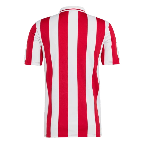 Maillot De Foot Olympiakos 100th Anniversaire 24/25
