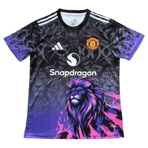 Maillot De Foot Manchester United 25/26 - Spécial