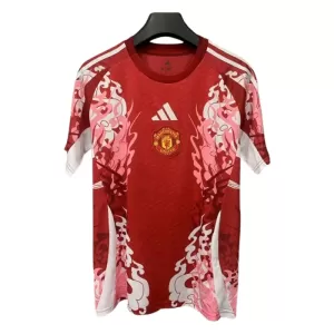 Maillot De Foot Manchester United 25/26 - Spécial