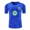 Maillot De Foot FC Barcelone Pre-Match 24/25