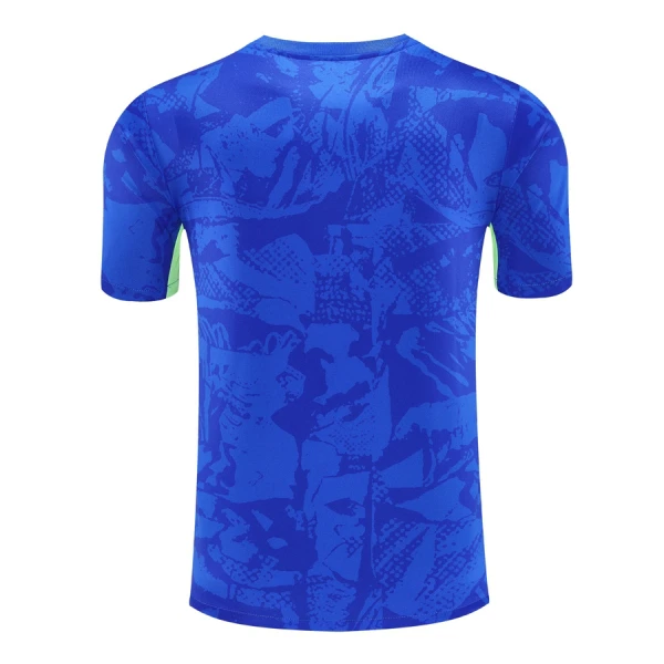 Maillot De Foot FC Barcelone Pre-Match 24/25