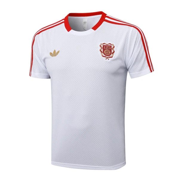 Maillot De Foot FC Bayern Munich Anniversaire 24/25 Maillot De Foot FC Bayern Munich Anniversaire 24/25