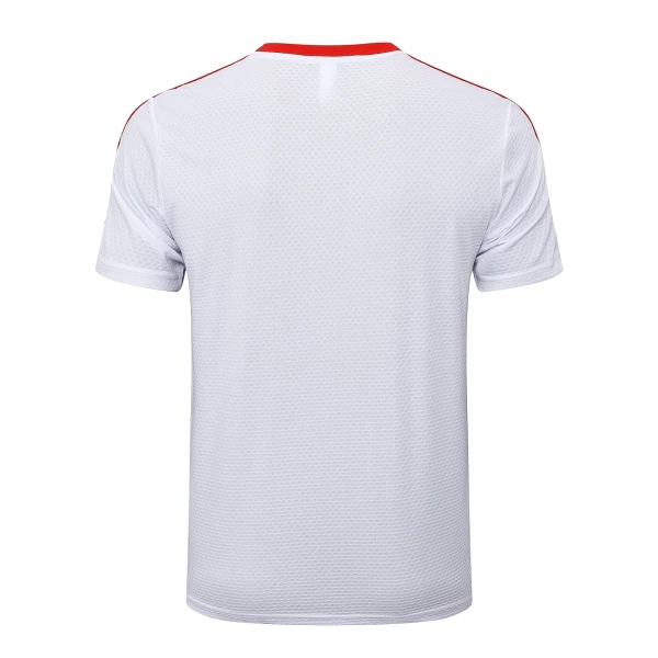 Maillot De Foot FC Bayern Munich Anniversaire 24/25