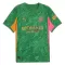 Maillot De Foot Gardien Manchester City 25/26 Vert