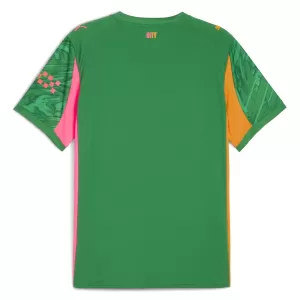 Maillot De Foot Gardien Manchester City 25/26 Vert
