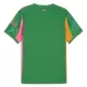 Maillot De Foot Gardien Manchester City 25/26 Vert