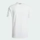 Maillot De Foot Colo-Colo Anniversaire 2025 Blanc
