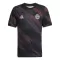 Maillot De Foot FC Bayern Munich Pre-Match 25/26