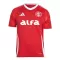 Maillot De Foot Internacional Domicile 25/26