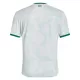 Maillot De Foot Irlande Extérieur 25/26