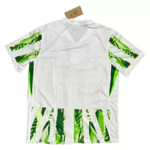 Maillot De Foot Nigéria Extérieur 25/26