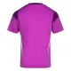 Maillot De Foot Gardien Aberdeen 25/26 Violet