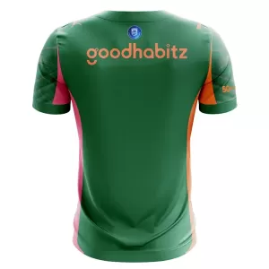 Maillot De Foot Gardien PSV Eindhoven 25/26 Vert