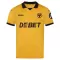 Maillot De Foot Wolverhampton Wanderers Domicile 25/26