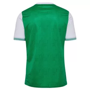 Maillot De Foot AS Saint-Étienne Domicile 25/26