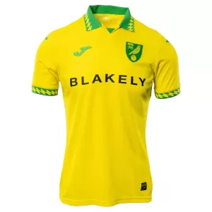 Maillot De Foot Norwich City Domicile 25/26