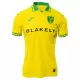Maillot De Foot Norwich City Domicile 25/26 Maillot De Foot Norwich City Domicile 25/26