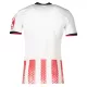 Maillot De Foot SC Freiburg Domicile 25/26