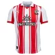 Maillot De Foot Southampton Domicile 25/26 Maillot De Foot Southampton Domicile 25/26