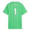 Maillot De Foot Gardien Arsenal Raya 1 25/26 Vert