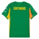 Maillot De Foot Gardien Borussia Dortmund 25/26 Vert