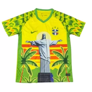 Maillot De Foot Brésil 2025 Blanc - Spécial